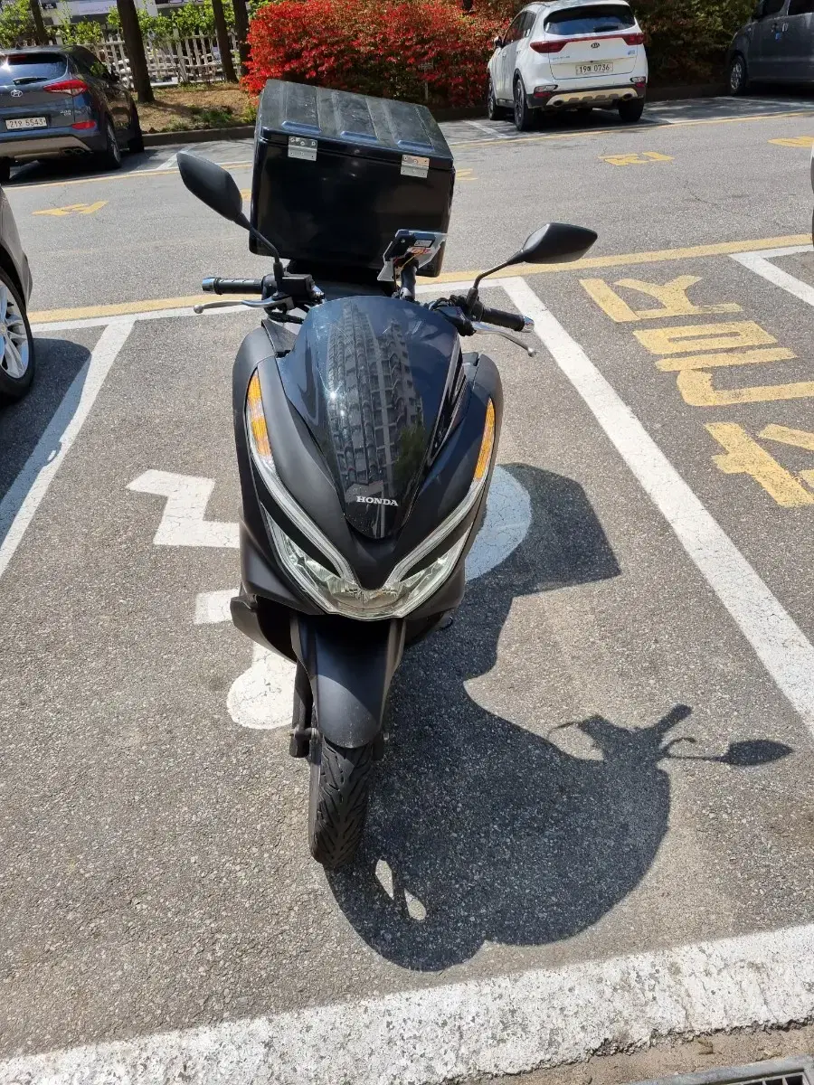 19년식 pcx 슬립있음